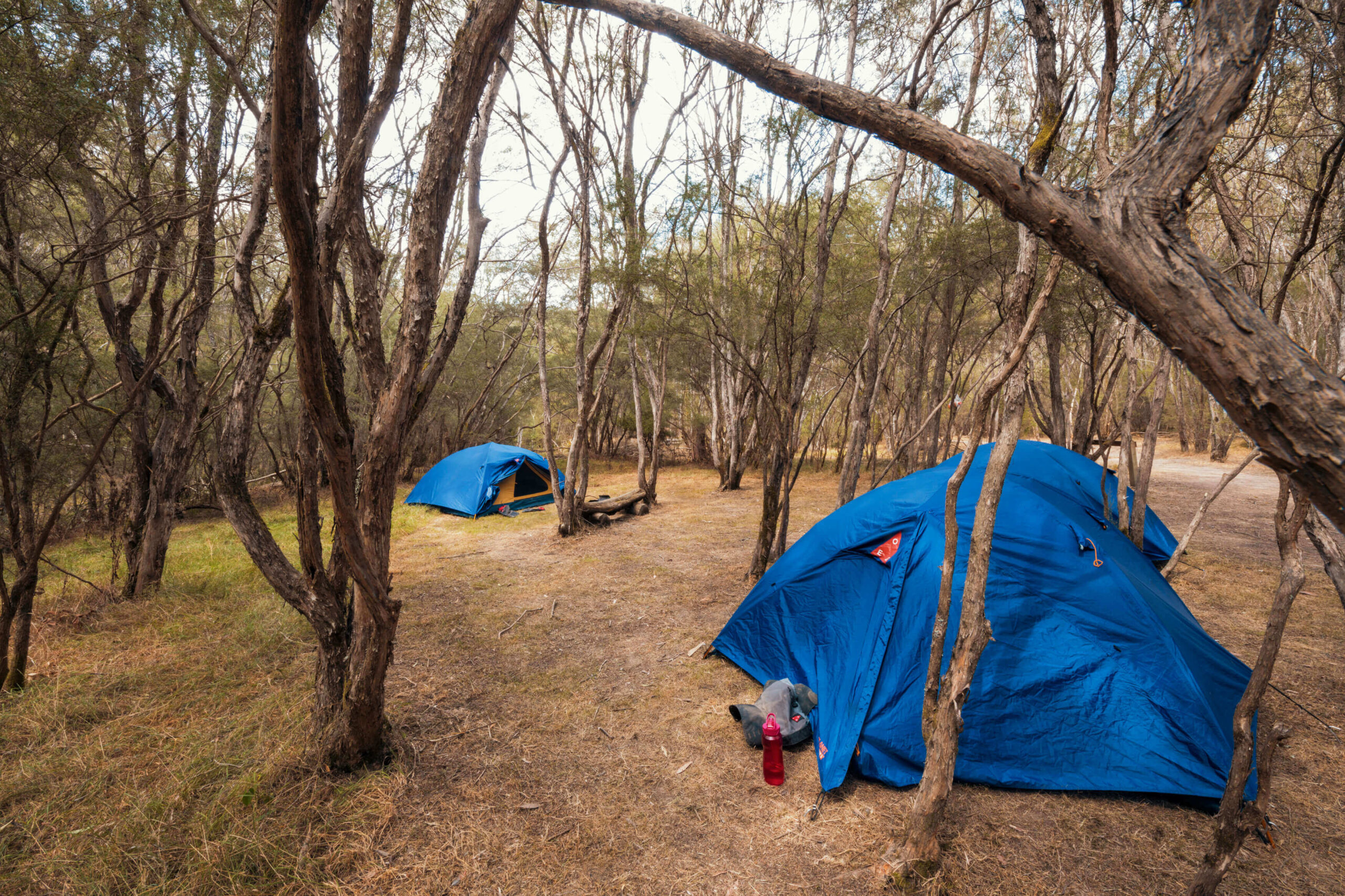Bush Camp Eildon Eildon Tents