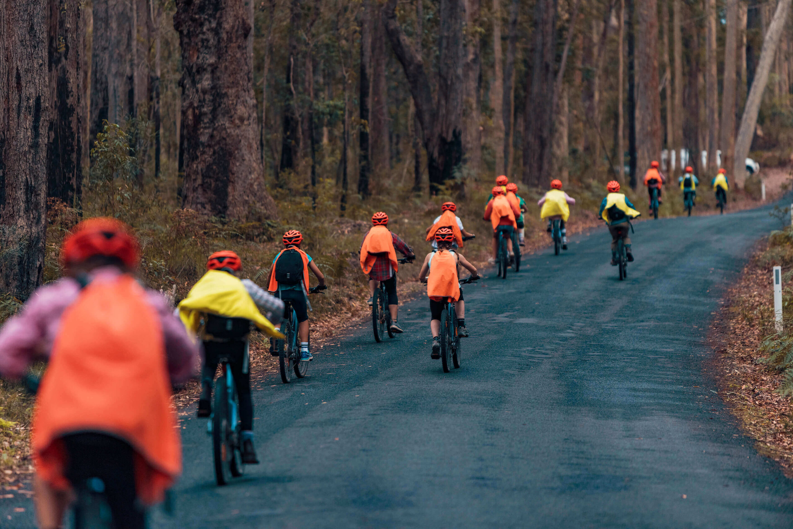 NSW Murramarang Cycle Group2