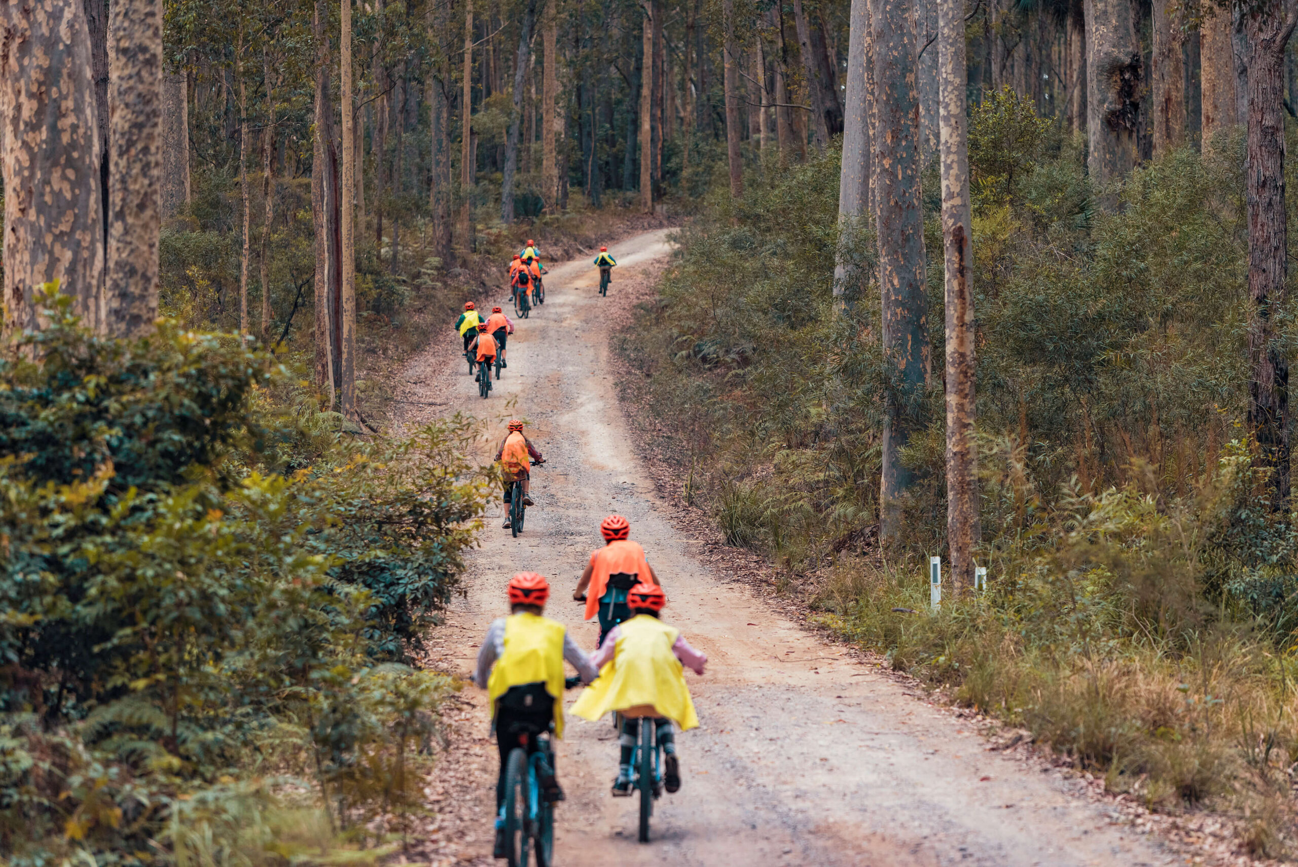 Experiences NSW Murramarang Cycle Group