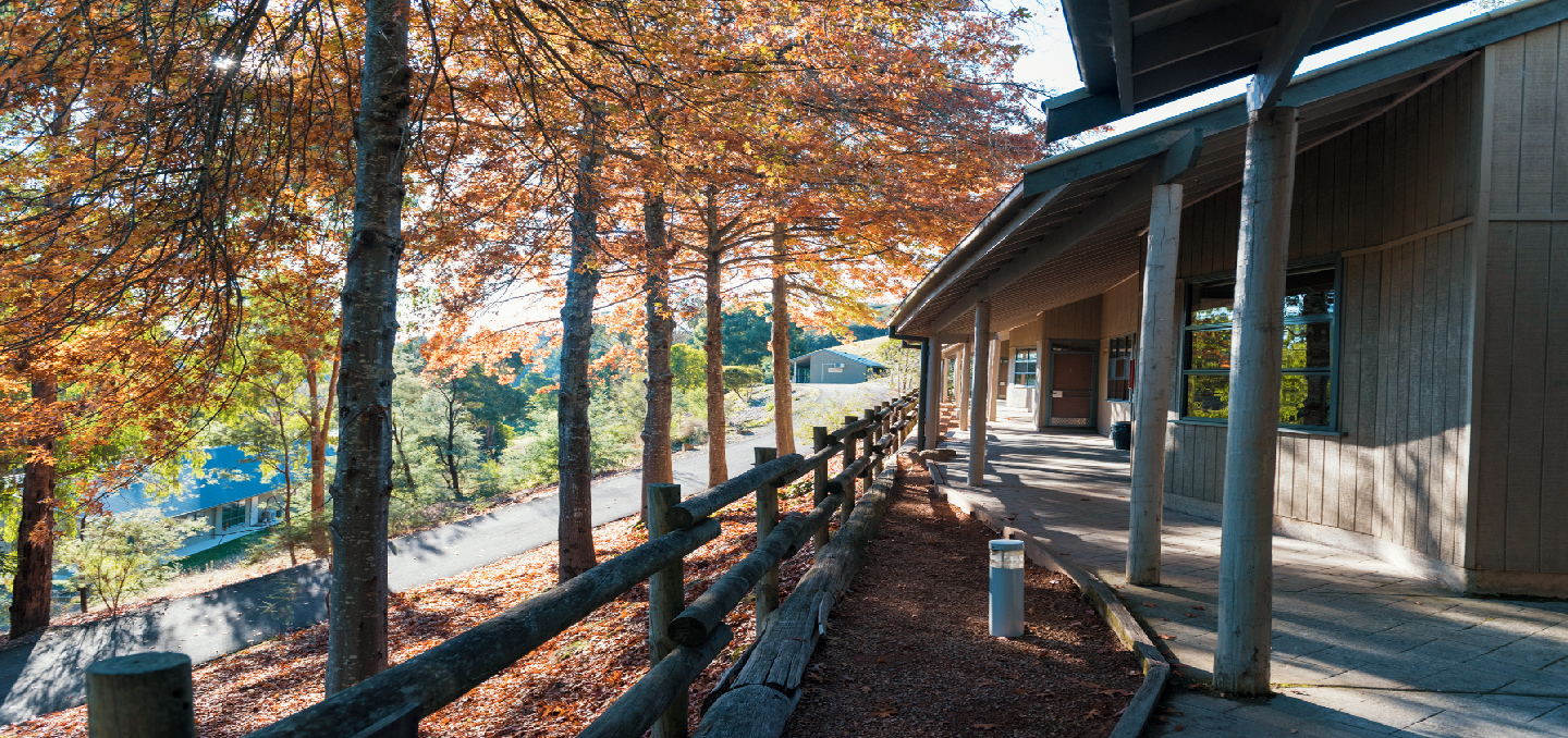 Kilvington Year 11 Camp Jungai The Outdoor Education Group