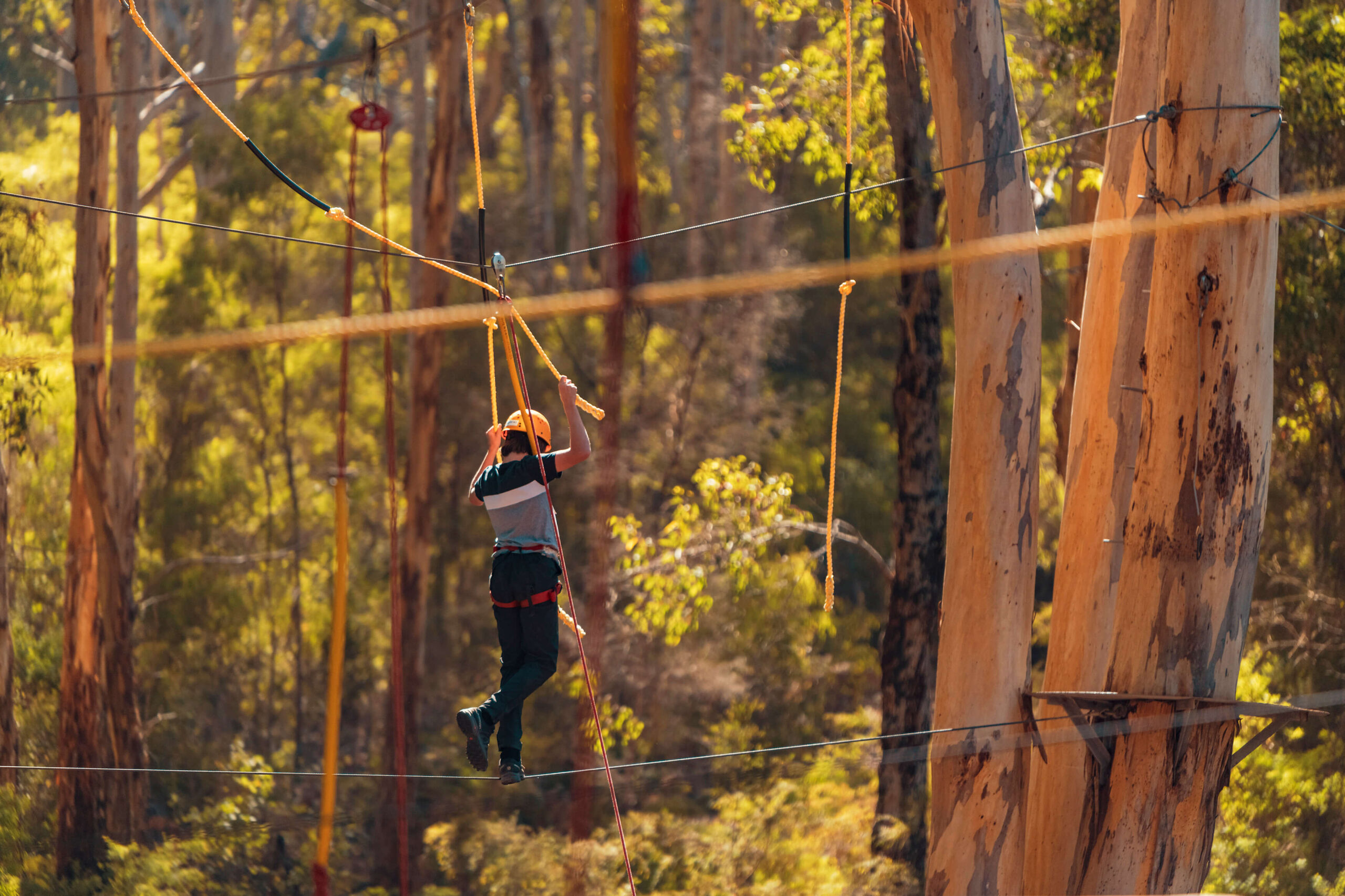 Sequence Review Header Wa Margaret River High Ropes Boy